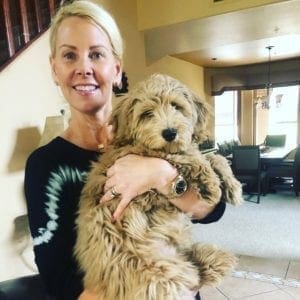 Katie the Golden Doodle Puppy during some Puppy Basic Training in Scottsdale, AZ