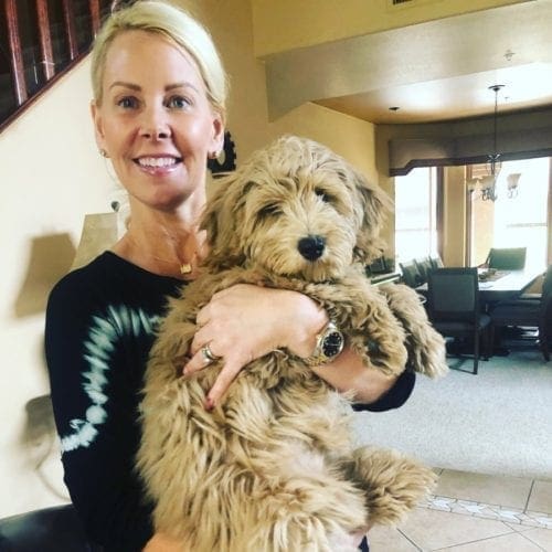 Katie the Golden Doodle Puppy during some Puppy Training in Scottsdale, AZ