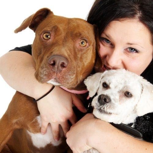Kristie and her first two rescue dogs.
