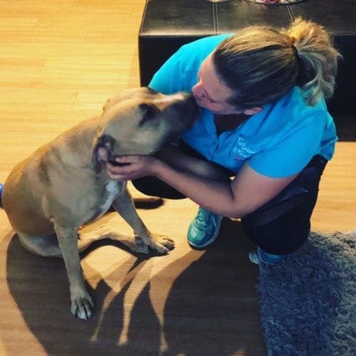 Positive reinforcement dog trainer, Krisite, rewarding a training dog with a kiss of affection for his leash reactivity improvement.