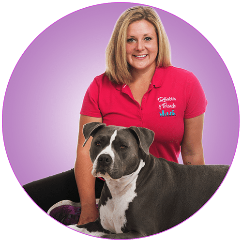 Meet the Founder and Head of Dog Training in AZ
