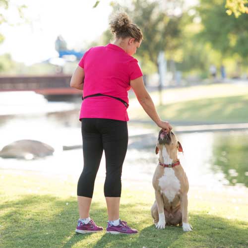 Positive Reinforcement Dog Training
