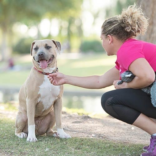 Positive Dog Obedience Training is only method we use and believe in for all training from puppies to seniors