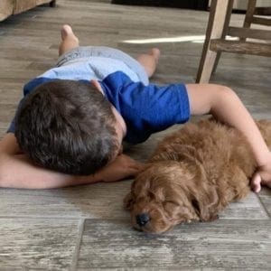 Puppy sleeping next to a child in a calm home environment