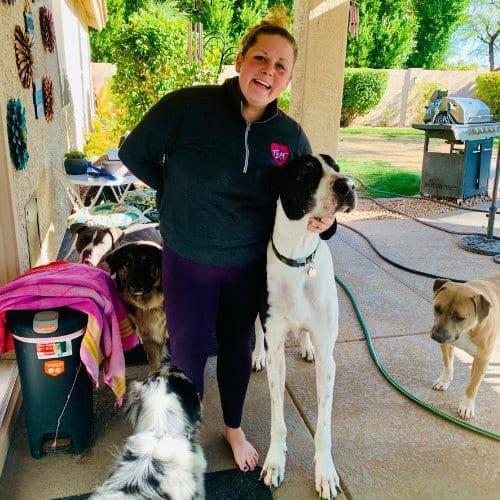 FurBabies and Friends dog boarding clients must be over 40 pounds, tempermant tested, dog and human friendly, and show proof of current vaccinations.