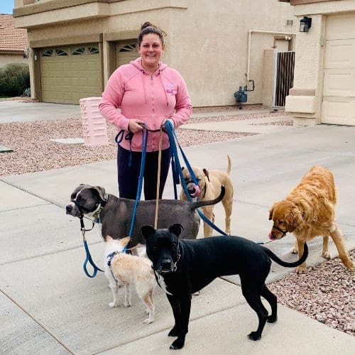 5 dogs walking together with positive reinforcement dog trainer Kristie Halverson with FurBabies & Friends in Glendale, AZ.