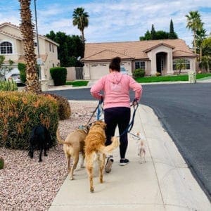 5 dogs walking together with positive reinforcement dog trainer Kristie Halverson with FurBabies & Friends in Glendale, AZ.