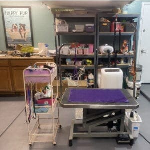 Climate controlled, private dog grooming shop at Furbabies & Friends in Glendale, AZ.