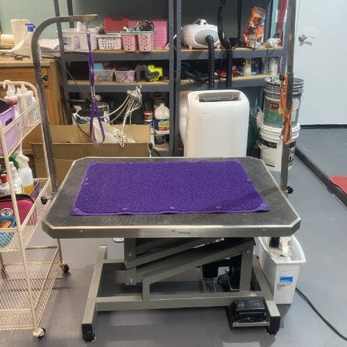 FurBabies and Friends hydraulic lift table is perfect for dog deshedding and nail trimming.