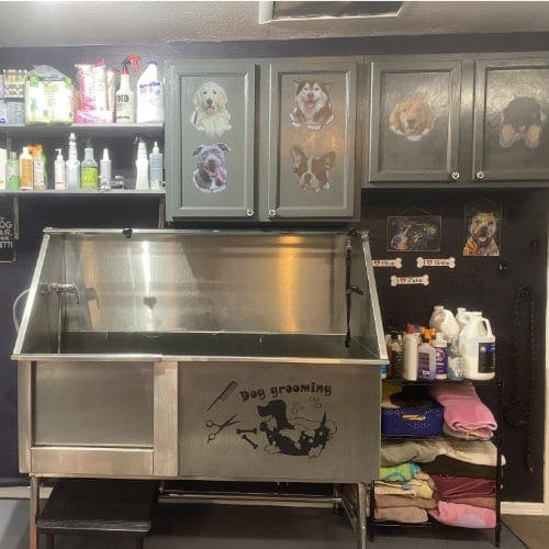 FurBabies and Friends dog grooming shop that specializes in the best dog washes and dog baths in Glendale, AZ.
