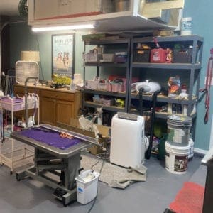 Glendale's best dog grooming and de-shedding by FurBabies & Friends, their dog grooming shop,