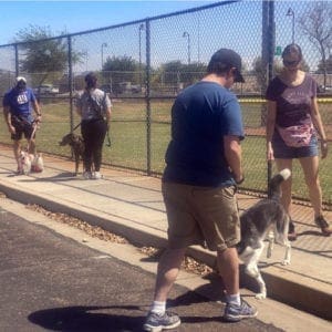 <a href='https://furbabiesandfriendsaz.com/group-dog-training-benefits-glendale-az/'>Help Your Dog Now: Benefits of Group Dog Training</a>