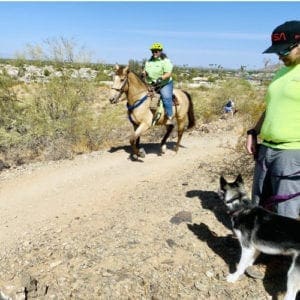 Dog desensitization training session on a hike with horses with FurBabies & Friends positive reinforcement trainer Kristie Halverson in Glendale, AZ.