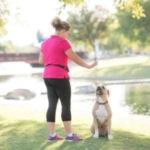 Kristie Halverson, and her XL bully simba, practicing a stay cue in a park in Peoria, AZ.