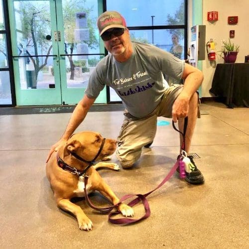 What to expect from a pet sitter at FurBabies & Friends is a vetted, background checked, bonded and insured pet professional for the best pet care in Glendale, AZ.