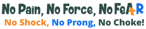A positive reinforcement dog trainer lives by the mantra of no pain, no force, and no fear.