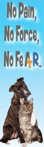 FurBabies & Friends trainer uses a force free, positive reinforcement dog training approach.