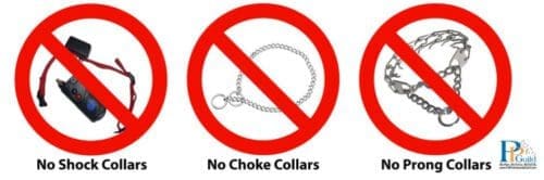 FurBabies & Friends dog trainer Kristie Halverson does not use shock collars, choke collars, or prong collars for training.