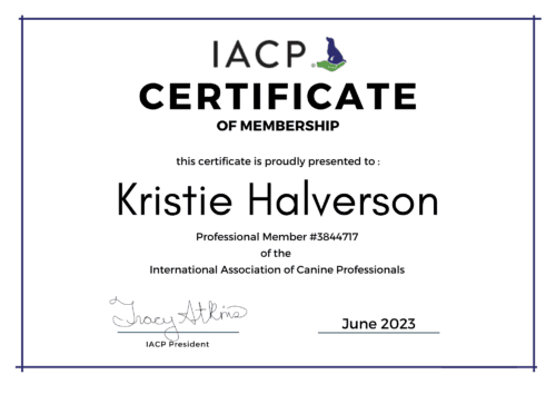 Kristie Havlerson, FurBabies & Friends dog trainer, is a proud member of the International Association of Canine Professionals.