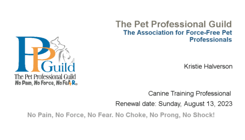 Kristie Halverson, FurBabies & Friends dog trainer, certificate of membership of the Pet Professionals Guild.