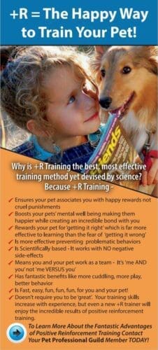 FurBabies & Friends trainer, Kristie Halverson, uses a R+ Force Free Positive Reinforcement dog training Method