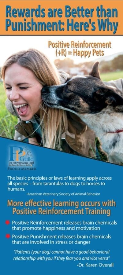 Pet Professional guilds flyer on why positive reinforcement dog training is better than punishment.