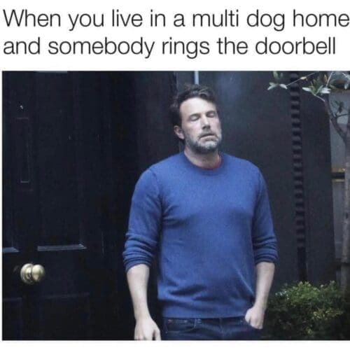 Doorbell desensitization and boundary training is one of the specialty dog training services offered by Kristie Halverson, a force free dog trainer with FurBabies & Friends in Glendale, AZ.