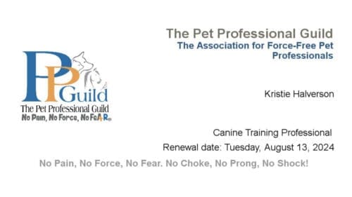 FurBabies & Friends Dog Trainer, Kristie Halverson, belongs to several positive reinforcement dog training groups, including the Pet Professionals Guild.