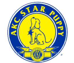 FurBabies & Friends proudly offers an AKC S.T.A.R Puppy group training class in Glendale, AZ to help pet parents get their puppy started off strong to be great canine citizens.
