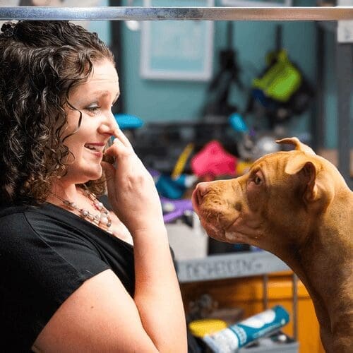 Head of dog training, Kristie Havlerson & FurBabies & Friends owner, training a watch cue with her pitbull mix puppy Mella.