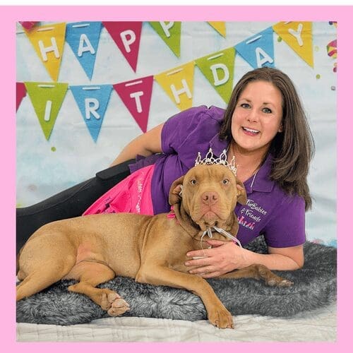 Kristie's birthday celebration with her 4th foster failure a pitbull mix Mella.