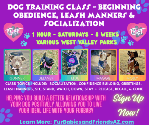 FurBabies & Friends beginning obedience group class dog training in Glendale, AZ flyer