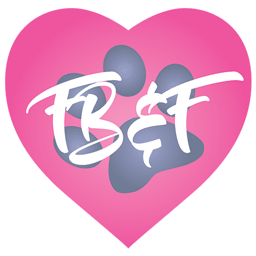 Timid dog, lacking energy and confidence begrudgingly poses for a 4th of July dog photoshoot.