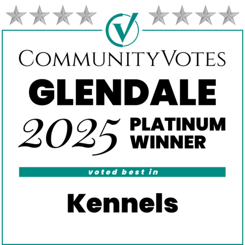 Furbabies & Friends 2025 Glendale Community Votes Platinum Winner for Dog Kennels in Glendale, AZ.