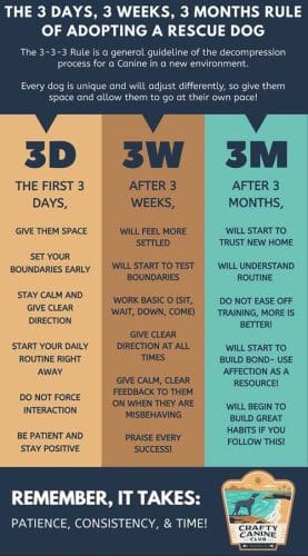 Decompression for puppy's and rescue dogs is very important in helping a dog feel safe and secure, build relationships', and transition into new homes.  This transition is most frequently referred to as the rule of 3's.